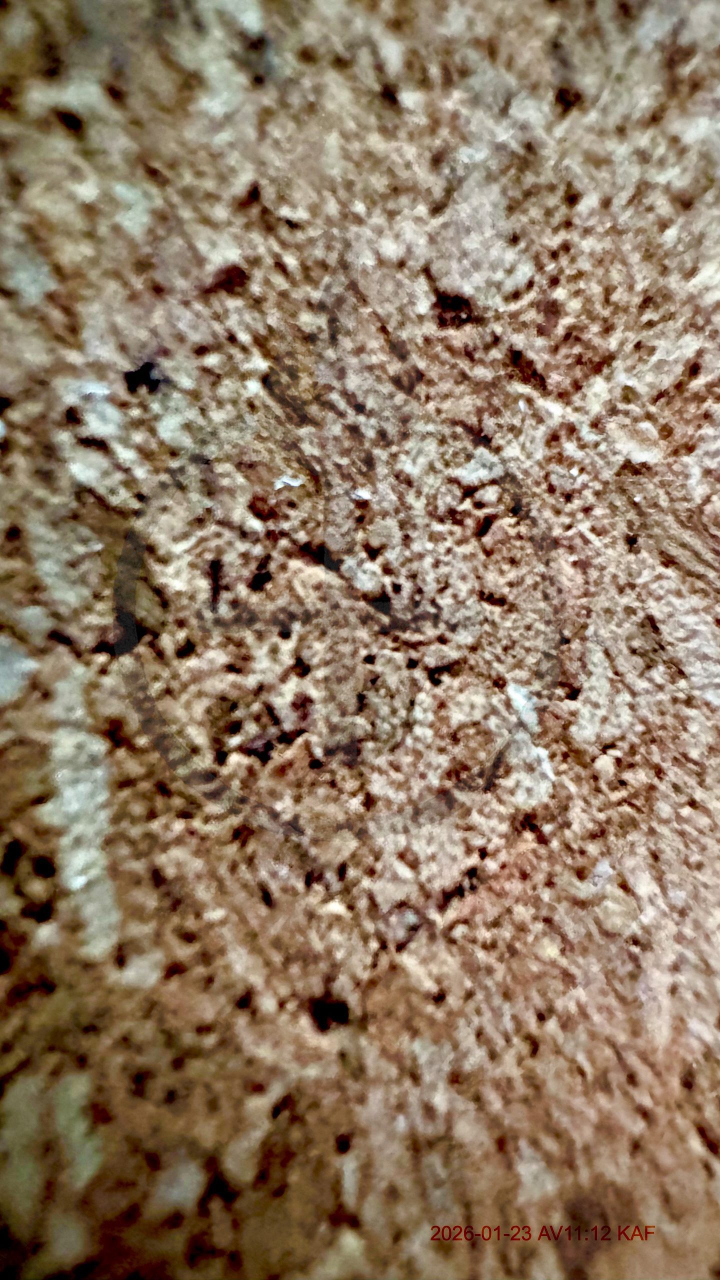 Recorded 112 seconds out of sync.